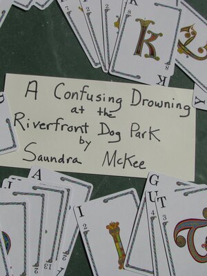 cover image of A Confusing Drowning at the Riverfront Dog Park